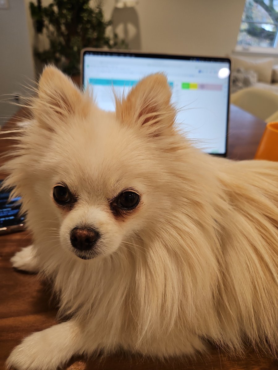 Janeen Davis tweet media