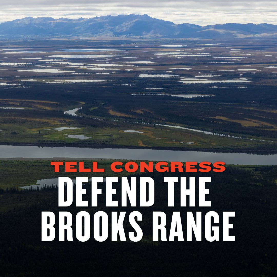 Honor Alaskans’ voices! A few members of Congress are trying to force the #AmblerRoad forward, overriding voices from the #BrooksRange and across America. Urge Congress to honor all of those who fought to keep this landscape roadless. #NoAmblerRoad #StopAmblerRoad