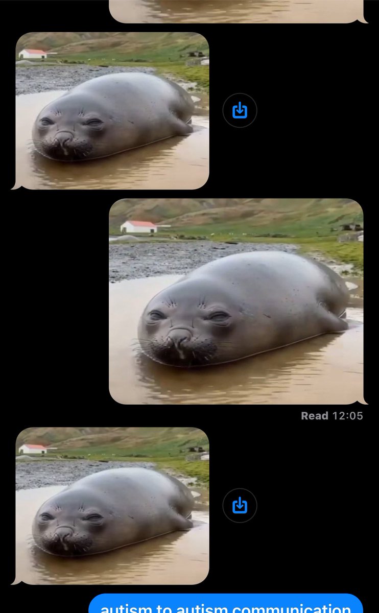 conputer girl (@alcoholw1fe) on Twitter photo 