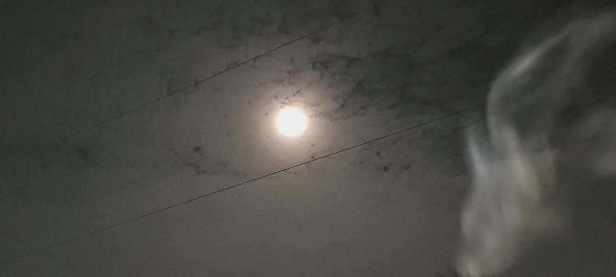 SteveMulville's tweet photo. Lots of #AltocumulusTranslucidus clouds about tonight on our #stargazing walk 🐕🦺🚶♂️around Aintree Village..
Little or no chance of catching the #Taurids meteor shower 🌠 cos me and Teddy will be in bed..💤🛌😴
#TiredoutTuesday https://t.co/bDSbQ1pWef
