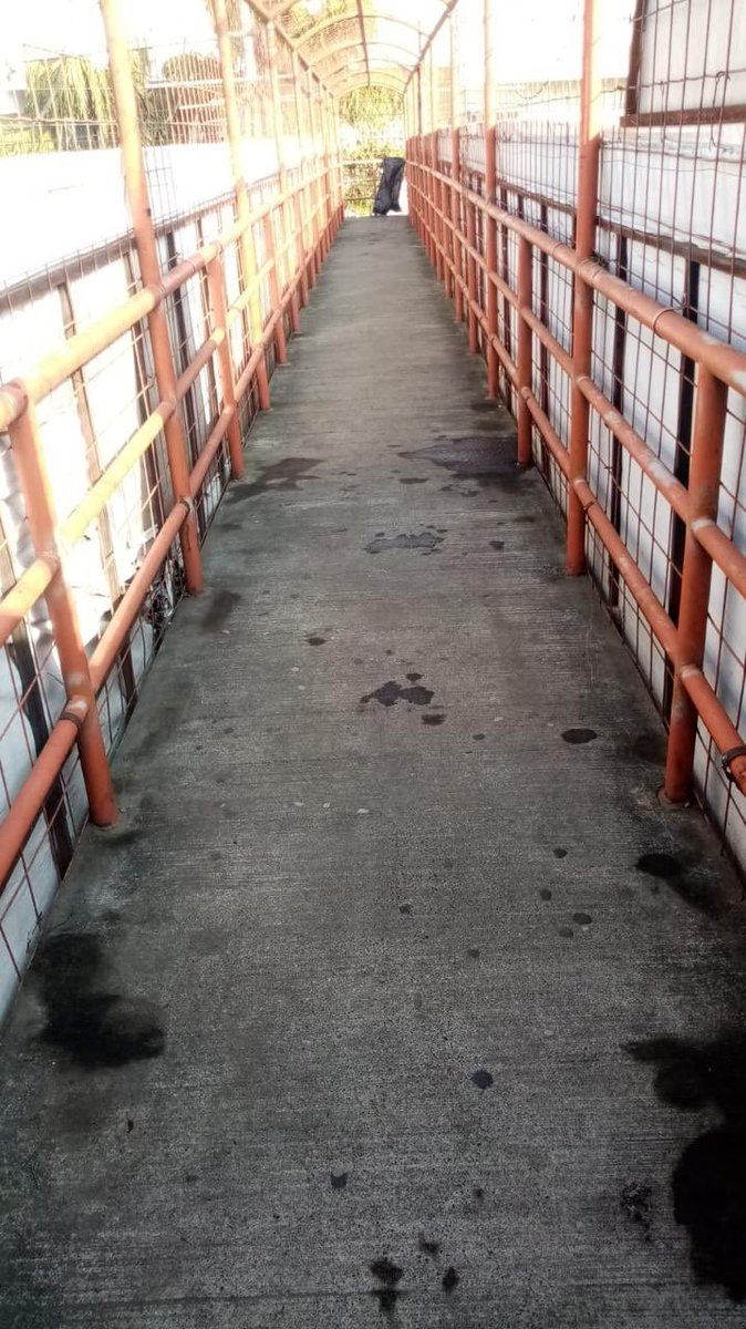 AlcaldiaAntiguo's tweet photo. @ABlandon7 @RomeoHerrera1 @HenryFloresST @milagro__navas @SantaTeclaSV @teledos_tcs @tcsnoticias @elnoticiero_6 @Canal4TCS Gracias por tu reporte Fito, te comentamos que nuestro personal ya realizó la limpieza de la pasarela. https://t.co/OH2eBtHE51