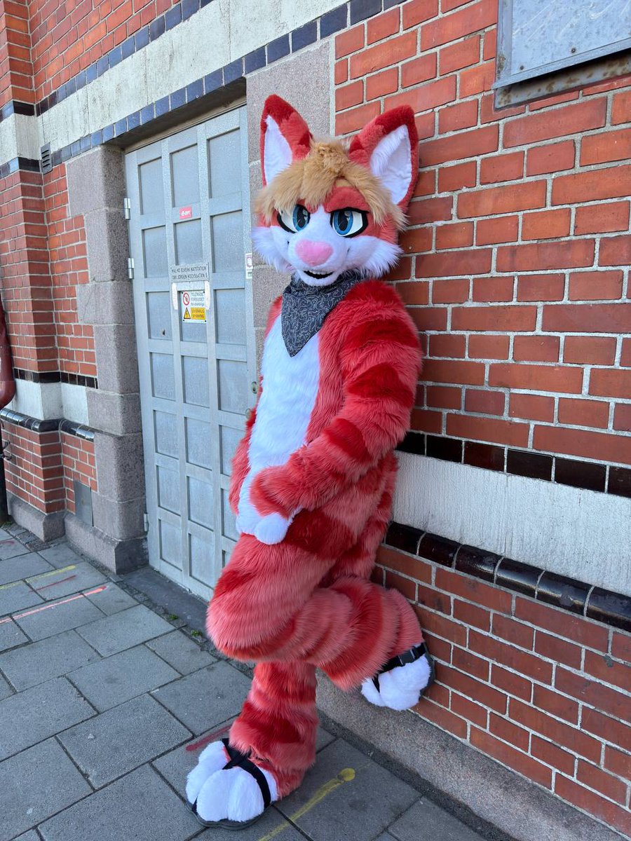 🇳🇱 Xavier 🐾 tweet media