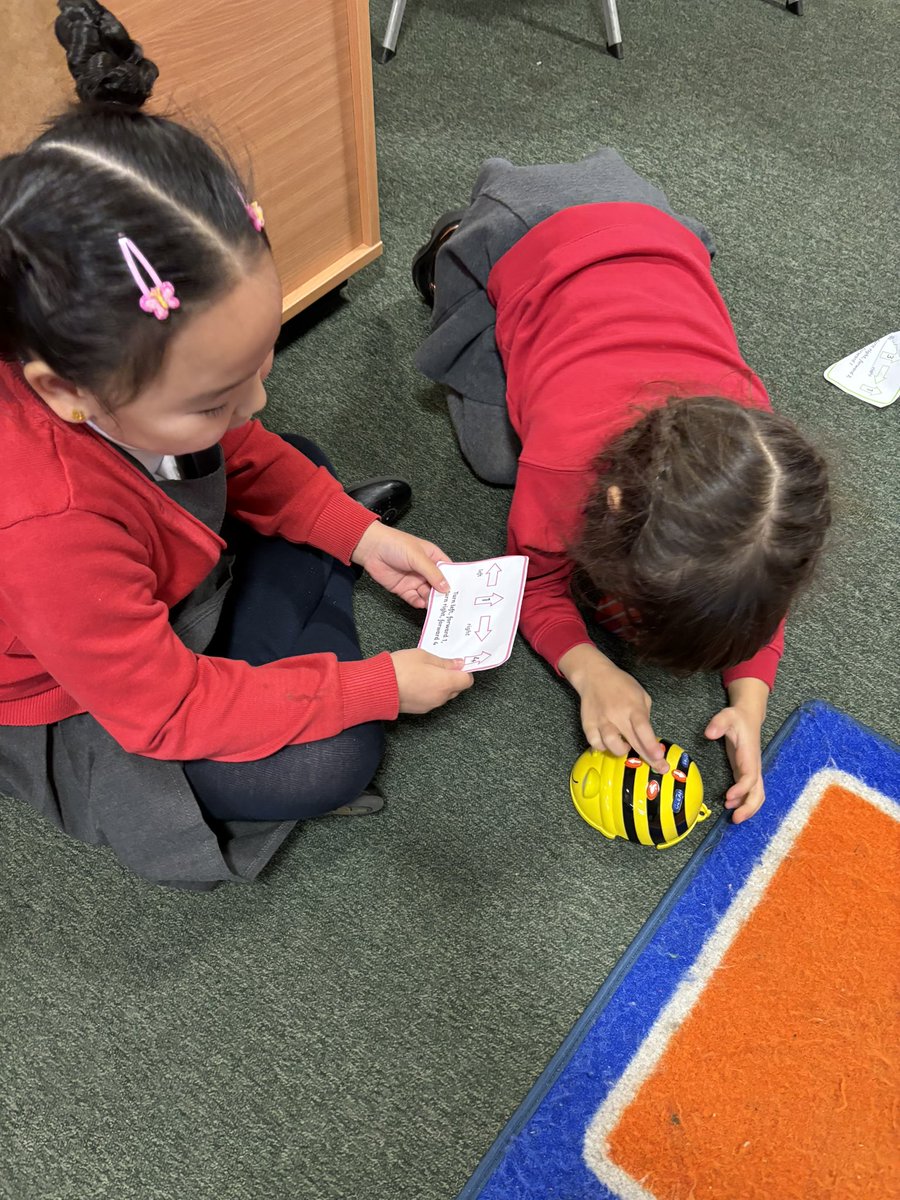 MrsMcCloskeyCa1's tweet photo. Our weekly tech challenges are underway! Challenge 1 - programme our BeeBots with a short code! #cooperativelearning @DL_for_All @PPGlasgow @StTeresasPS @glasgowcounts #positionandmovement https://t.co/3kpQncCY1O