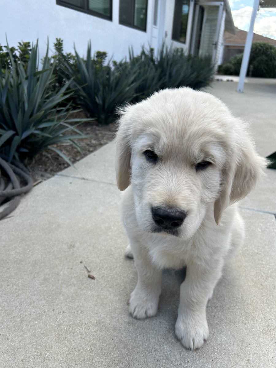 Hey <a href="/gkittle46/">George Kittle</a>, meet little George Kittle .. not so good at catching the ball yet, but he's got time!