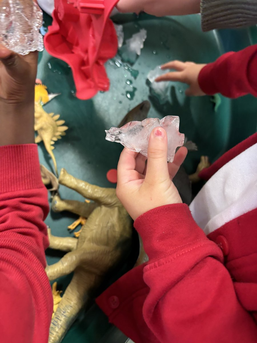 This week in our sensory play zone we wr exploring properties of water! Pupils are enjoying playing with the ice shapes and animals! Lots of great discussion about melting and freezing 🥶 🧊! <a href="/StTeresasPS/">St. Teresa's Primary</a> <a href="/PPGlasgow/">Play Pedagogy</a>