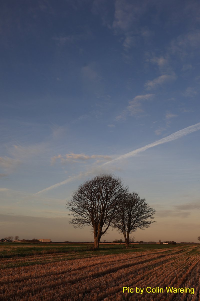 ColinWareing1's tweet photo. Had a walk down Crabtree Lane and back across the railway line near Burscough late this afternoon. Images straight out of the camera. @CanonUKandIE @OPOTY @AP_Magazine @TimesPictures @LancashirePics #flatlands @StormHour @photohour @guardianphotos @FarmersGuardian #lancashire https://t.co/E8cnUpuKWZ