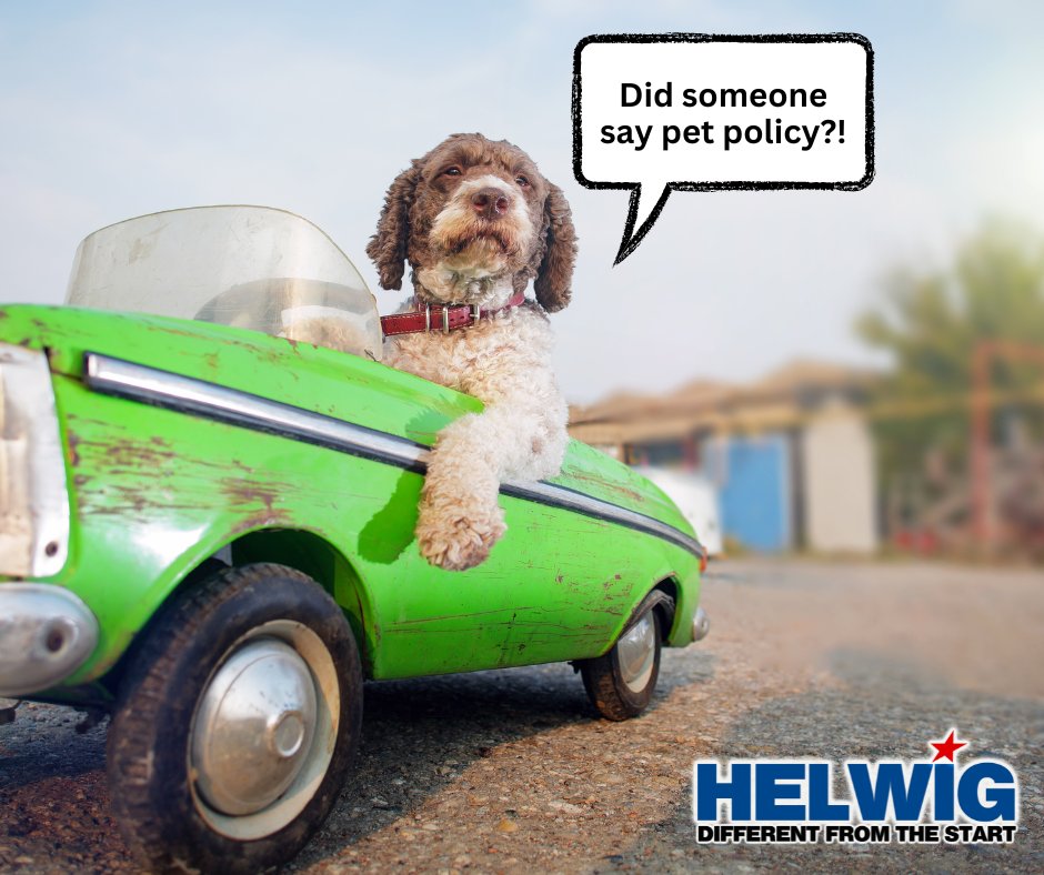 We know pets are family too! 🐾 Our pet-friendly policy welcomes your furry companions with no breed restrictions.

We’d love to see pictures of your co-pilots—send us shots of your pets, and we’ll feature them on our socials! 🐕🐈

#HelwigTrucking #PetFriendly