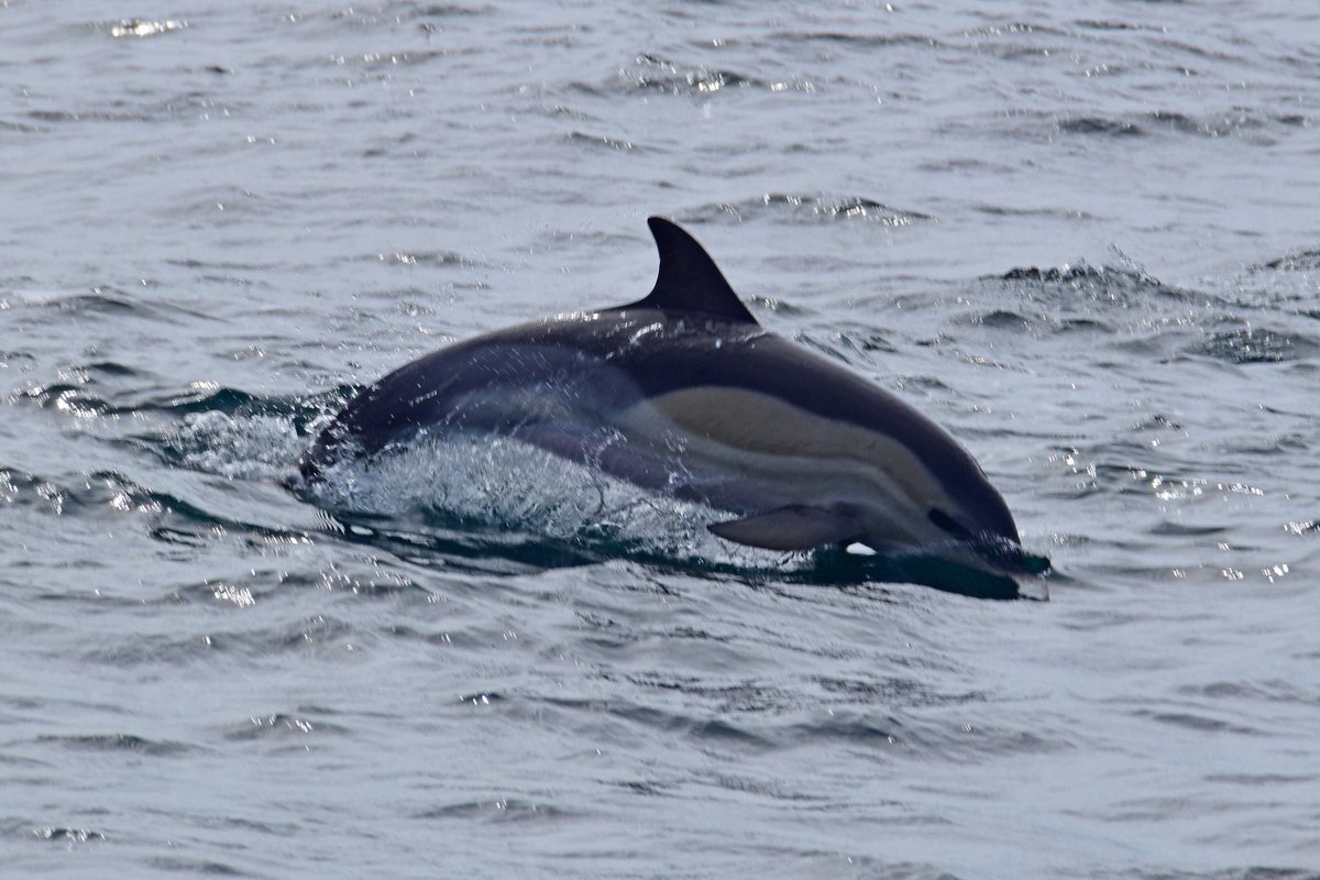 Andreas Fischer tweet media