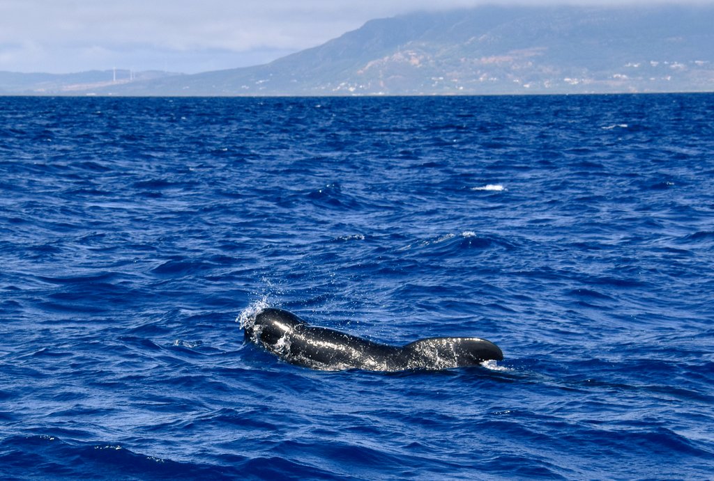 Andreas Fischer tweet media