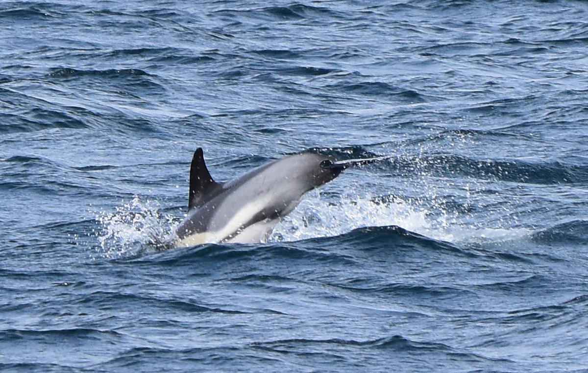 Andreas Fischer tweet media