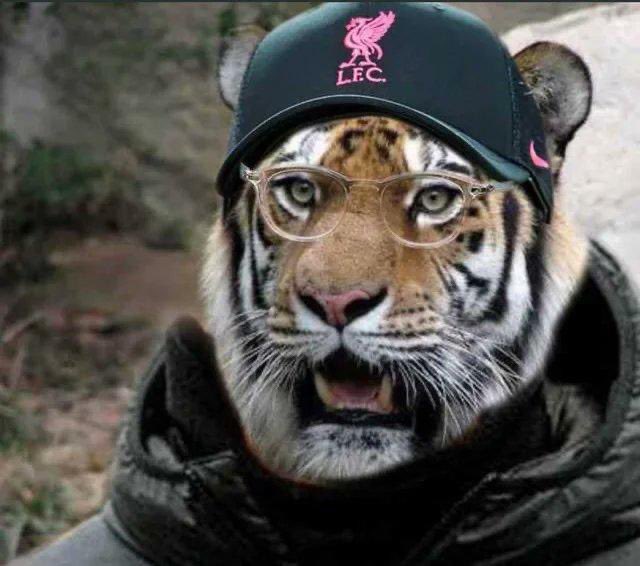 Jurgen Klopp watching the David Coote leaked video