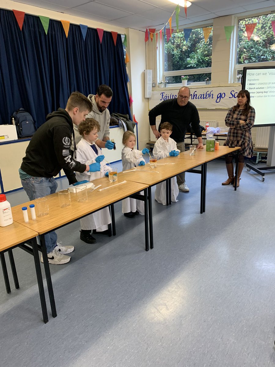 Holy Cross School tweet media