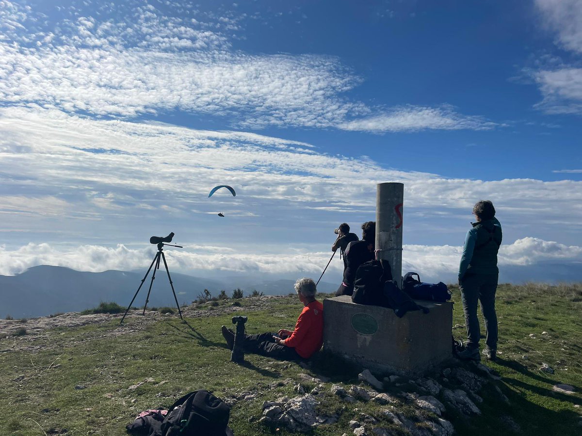 No hi ha res com la calma del Tossal de la Torreta
1676m
Sostre comarcal de la Noguera
Observant ocells

Sortida d'Aula i Natura
Guia Pau Ortega

<a href="/aulainatura/">Aula i Natura 🌲</a> #tossaldelatorreta