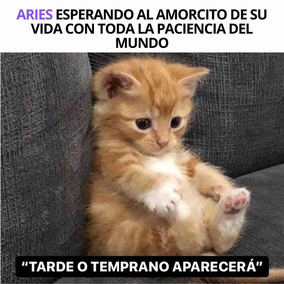 arieshverde's tweet photo. ♈ #Aries https://t.co/fLrpWMjk4d