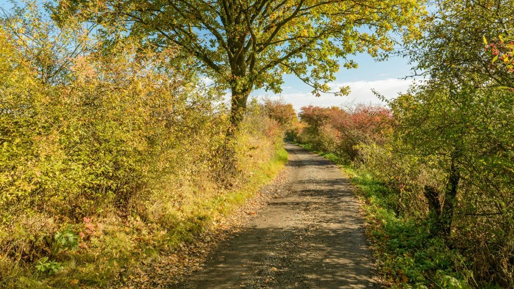 Essex-Hudson Greenway open house on 11/13, NJDEP aiming for 2025 groundbreaking: themontclairgirl.com/new-jersey-ess…