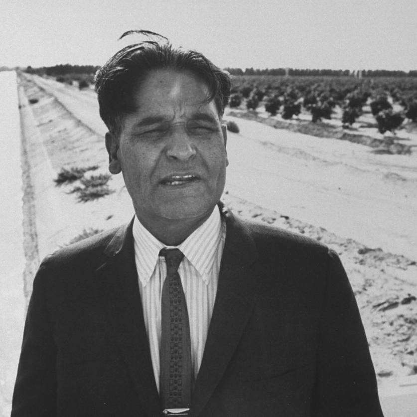 A Story of Resilience and Hope: "When Dalip Singh Saund took the oath of American citizenship on December 16, 1949, he had already faced more than two decades of exclusion."

📖 Read more: mailchi.mp/saada/a-story-…