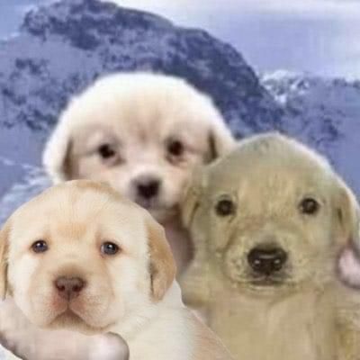 MaxsHarvey's tweet photo. @slm_TJ Pasa ID letras, por cierto te ha salido ya algún god pack? https://t.co/o8OqS6JMoM