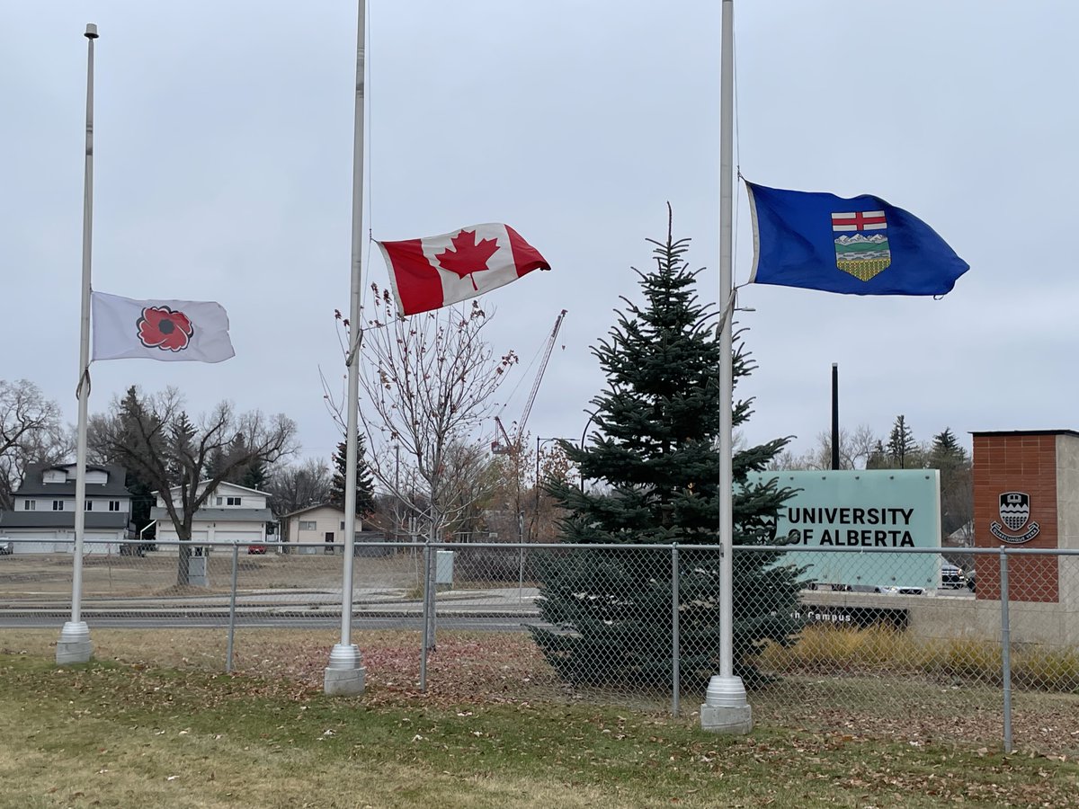 Suzette Brémault-Phillips (@suzettephd) on Twitter photo 