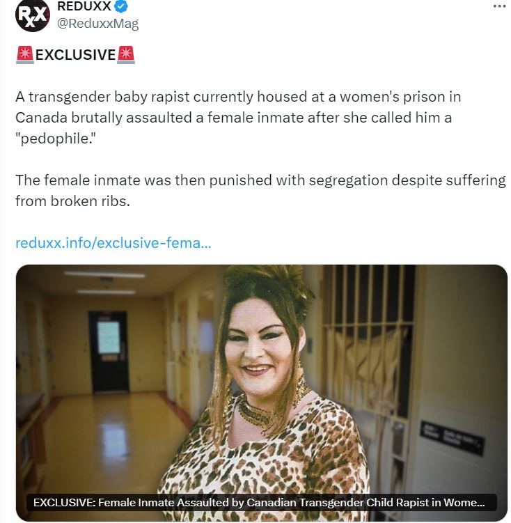 "Transgender baby rapist"
😑