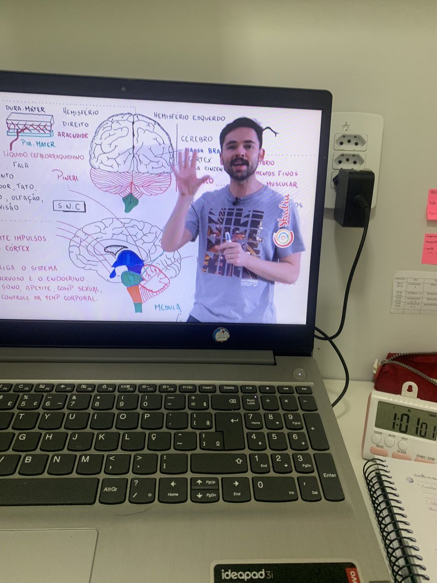 studyastina's tweet image. esse ano eu me doei tanto..