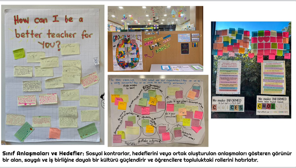 Berna Aslan tweet media