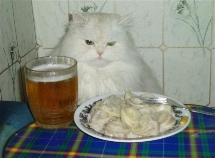 cherubiim_'s tweet image. wait I'm goated