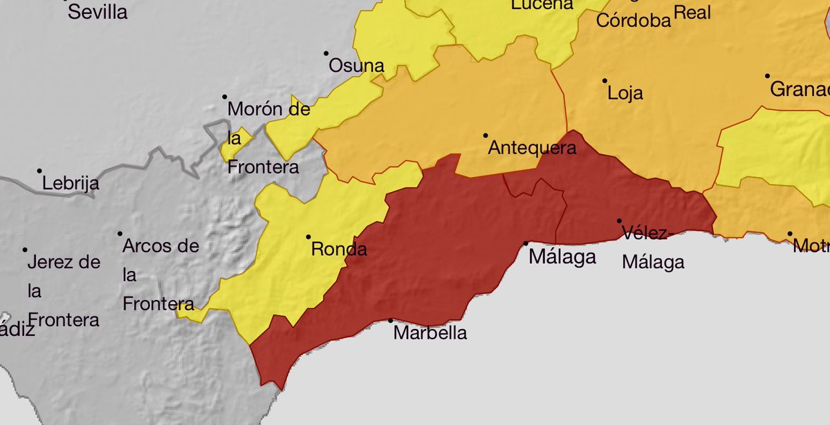 RTV Marbella tweet media