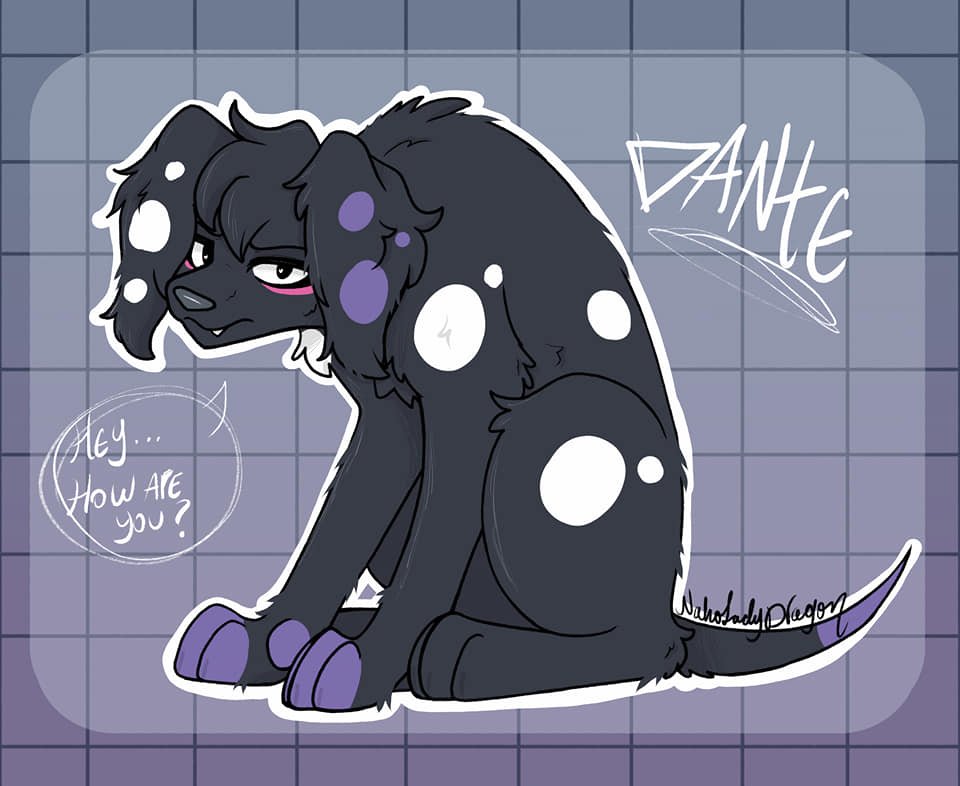 NahoLadyDragon's tweet image. My boi doggo Dante 💜🤍🖤✨🐶