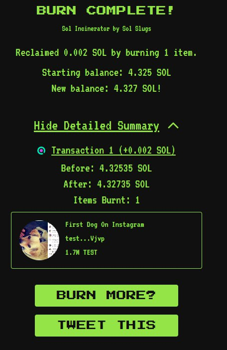 The First Dog on IG | $TEST tweet media