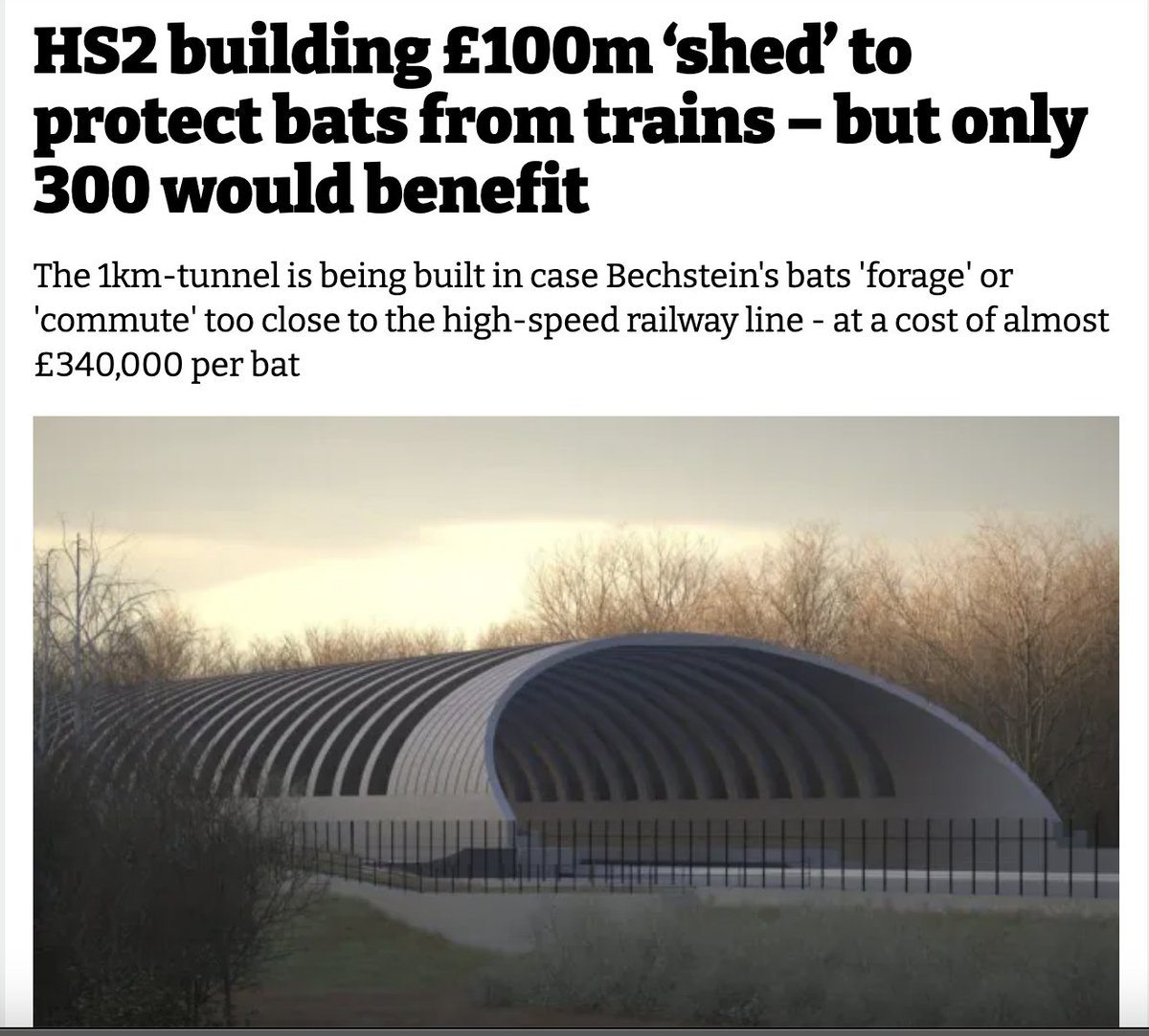 James Wise tweet media