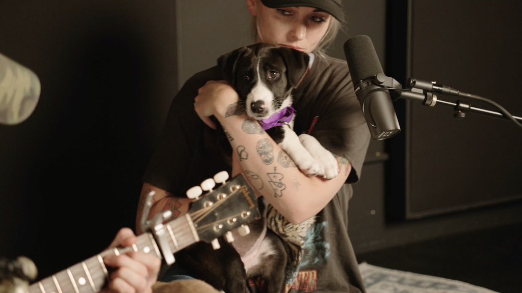 WeRateDogs tweet media