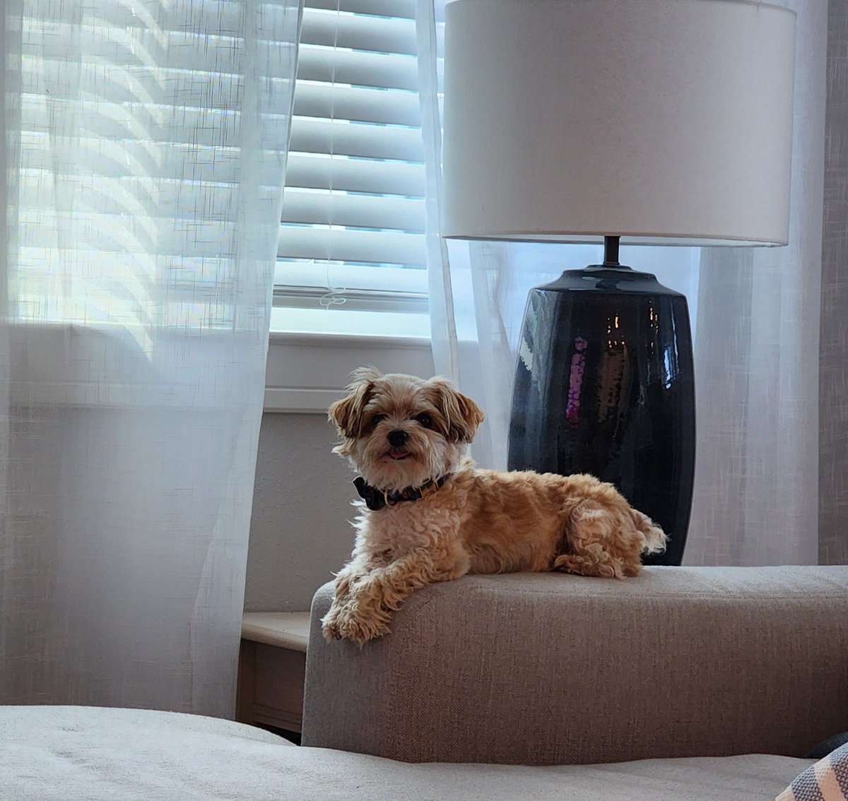 Jennifer Horn tweet media