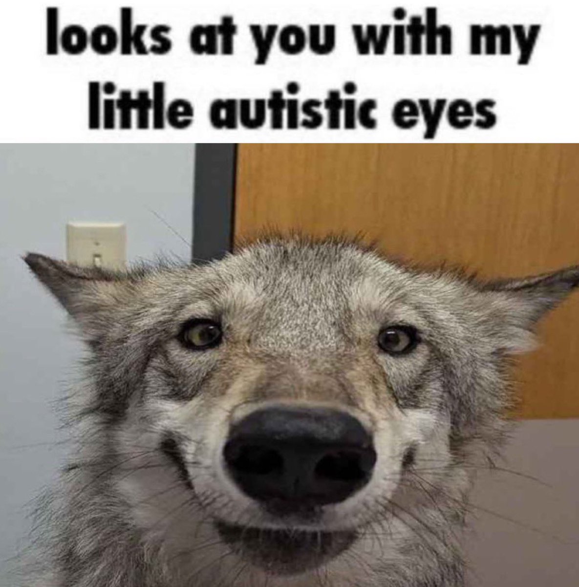 zax. (@zax_maxxing) on Twitter photo 