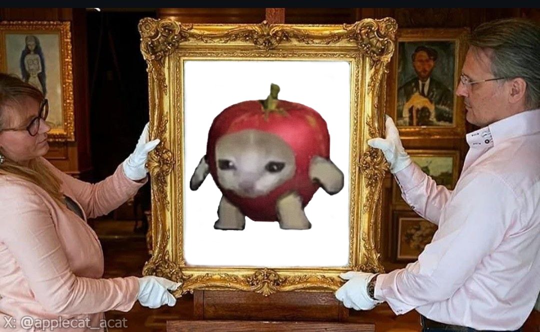 Apple Cat 🍎🐱 tweet media