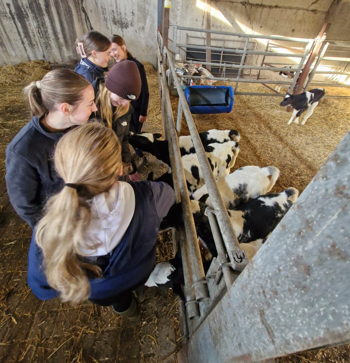 StLouisMonaghan's tweet photo. As part of Science Week, Ms McCaffrey took her TY and Fifth Year Agricultural Science classes to the farm of Padraic Greenan on a Farm Visit. 🐮
#slss #slssmonaghan #shapingtodaydefiningtomorrow #scienceweek #farmvisit
@lecheiletrust1
@PadraicGreenan
@IFAmedia https://t.co/1reojWK5XM
