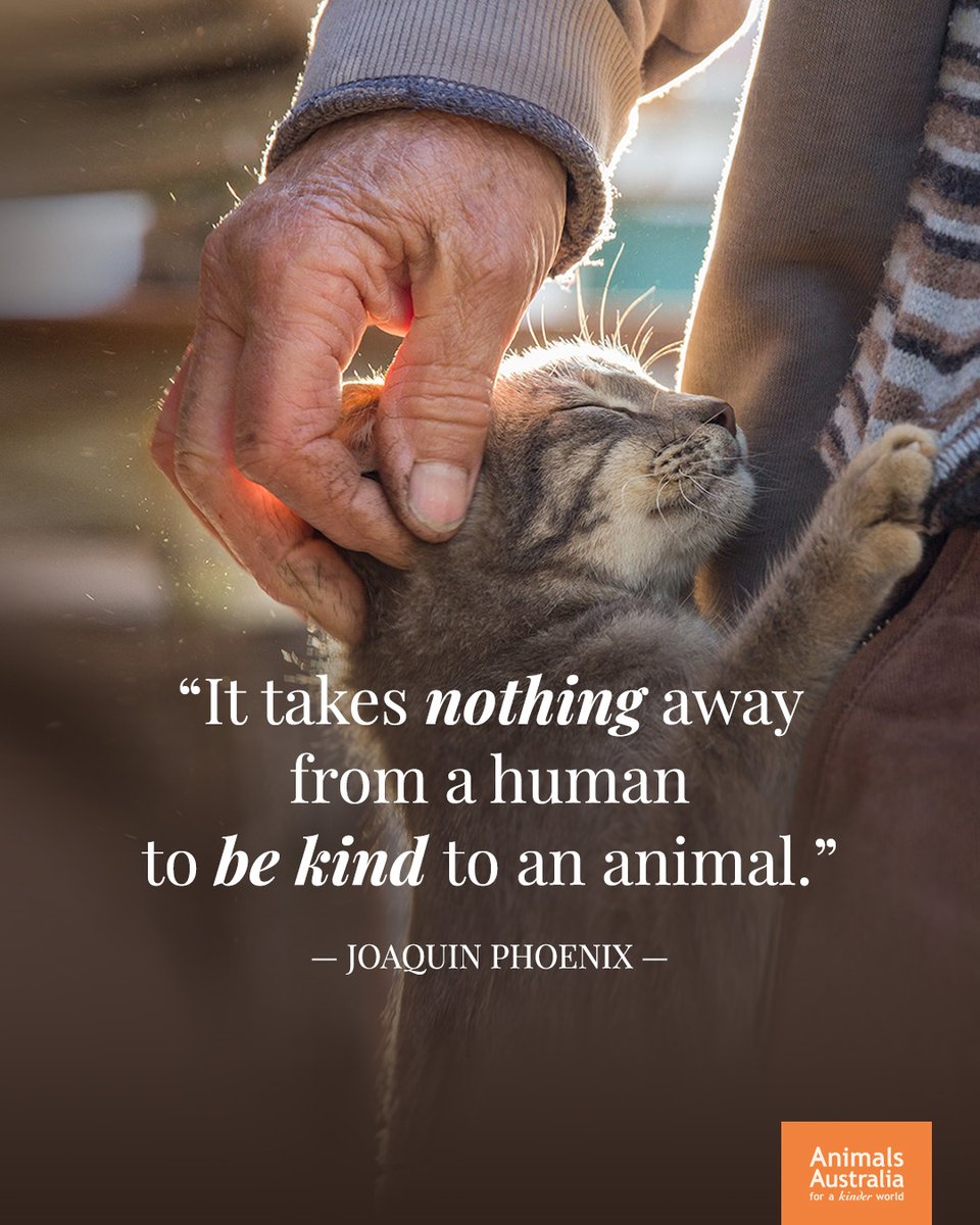 🧡 #WorldKindnessDay