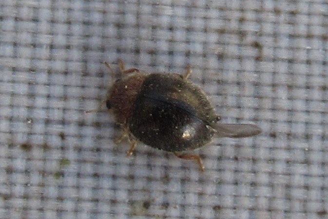 Andrew Jewels tweet media