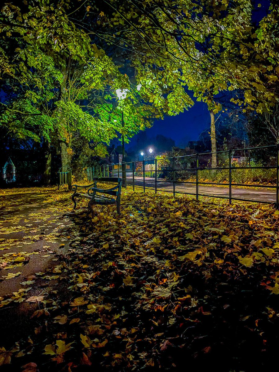 Autumnal Walk tonight in Chadderton Hall Park.