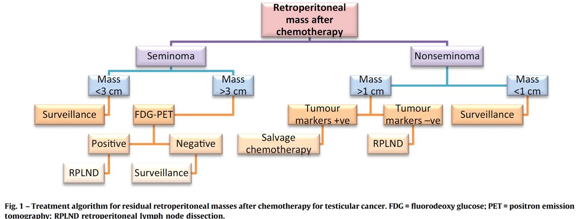 Milan Hora (@milanhoraplzen) on Twitter photo Evaluation and Management of Retroperitoneal Masses in Patients with Testicular Cancer, pubmed.ncbi.nlm.nih.gov/39098447/ <a href="/EurUrolFocus/">Eur Urol Focus</a> Btw. FDG PET CT indicated only in residual mass in seminoma Evaluation and Management of Retroperitoneal Masses in Patients with Testicular Cancer, pubmed.ncbi.nlm.nih.gov/39098447/ <a href="/EurUrolFocus/">Eur Urol Focus</a> Btw. FDG PET CT indicated only in residual mass in seminoma