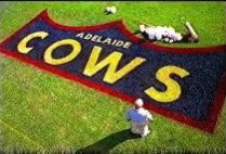 Max Phillips tweet media