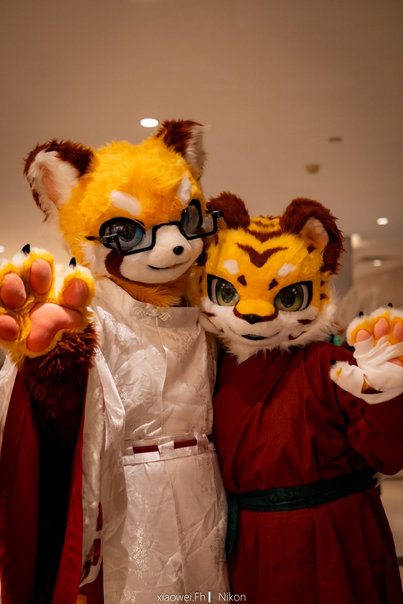 SimonLittle2684's tweet photo. 和虎虎贴贴~
#FursuitsEveryday https://t.co/6Qbw7abW9h