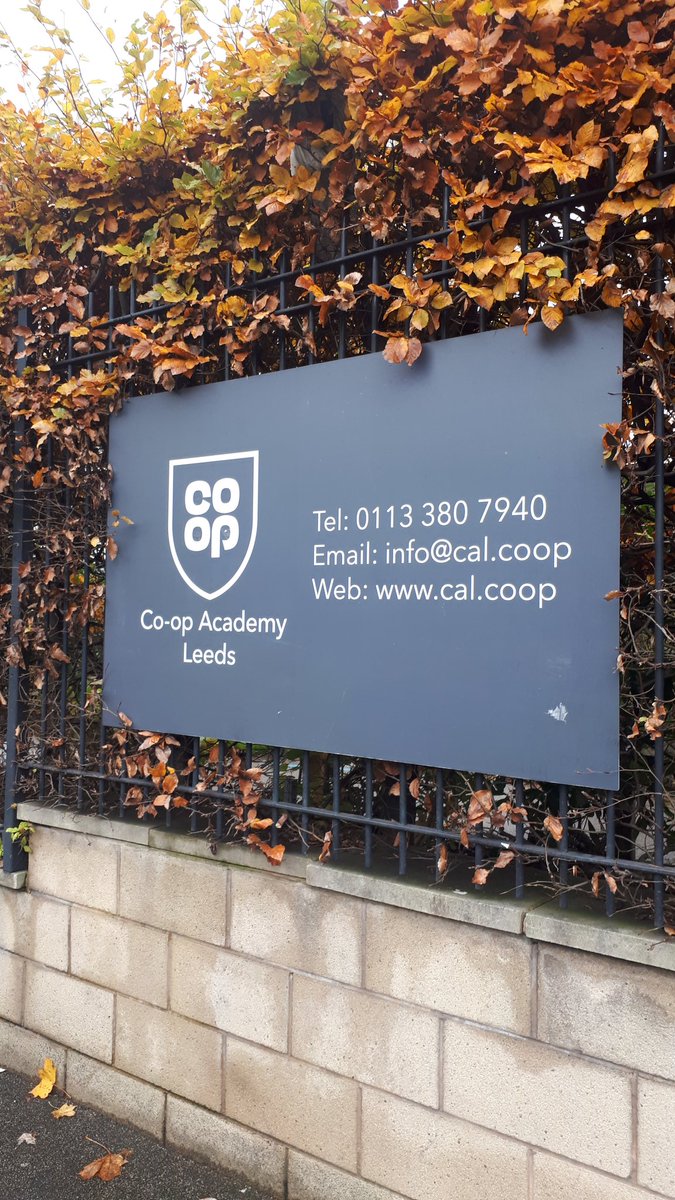 Sofia Martinho tweet media