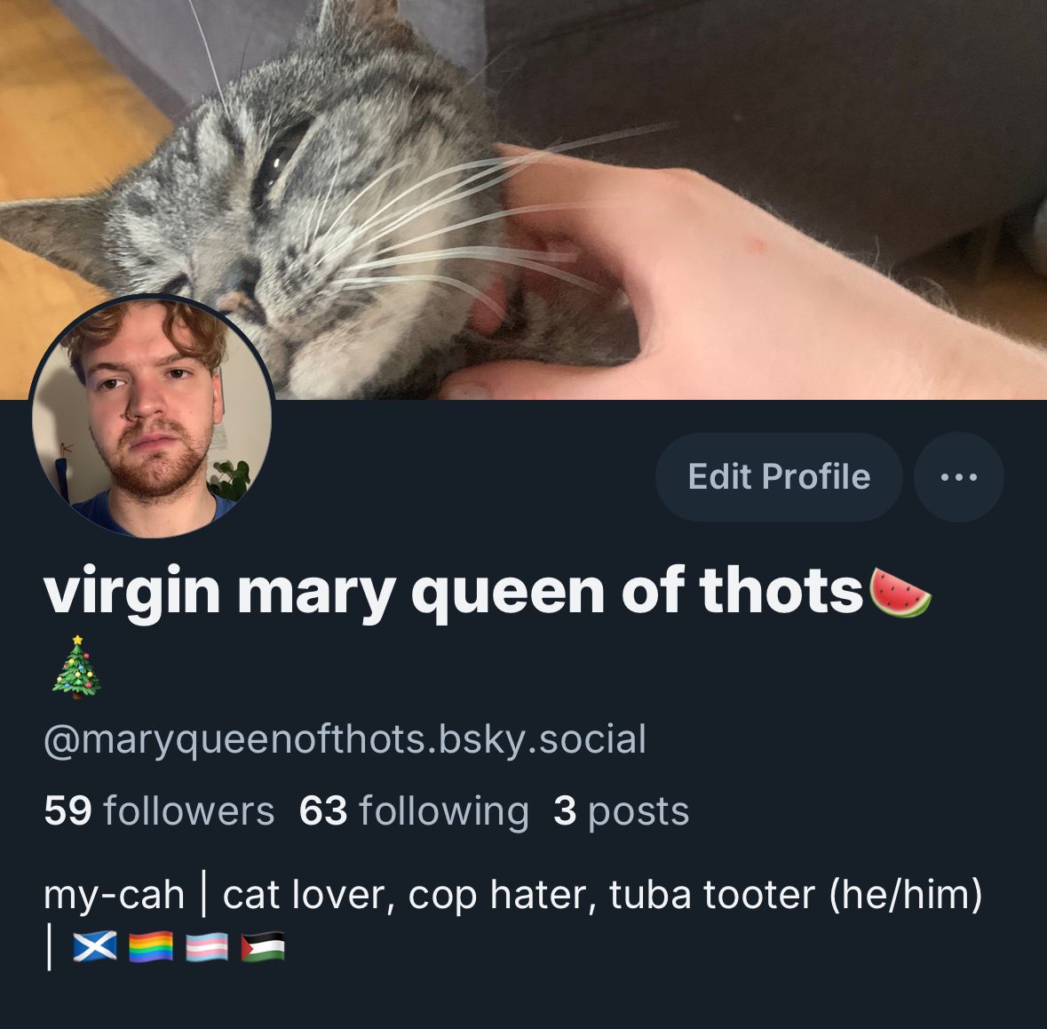 mary queen of thots🍉 tweet media