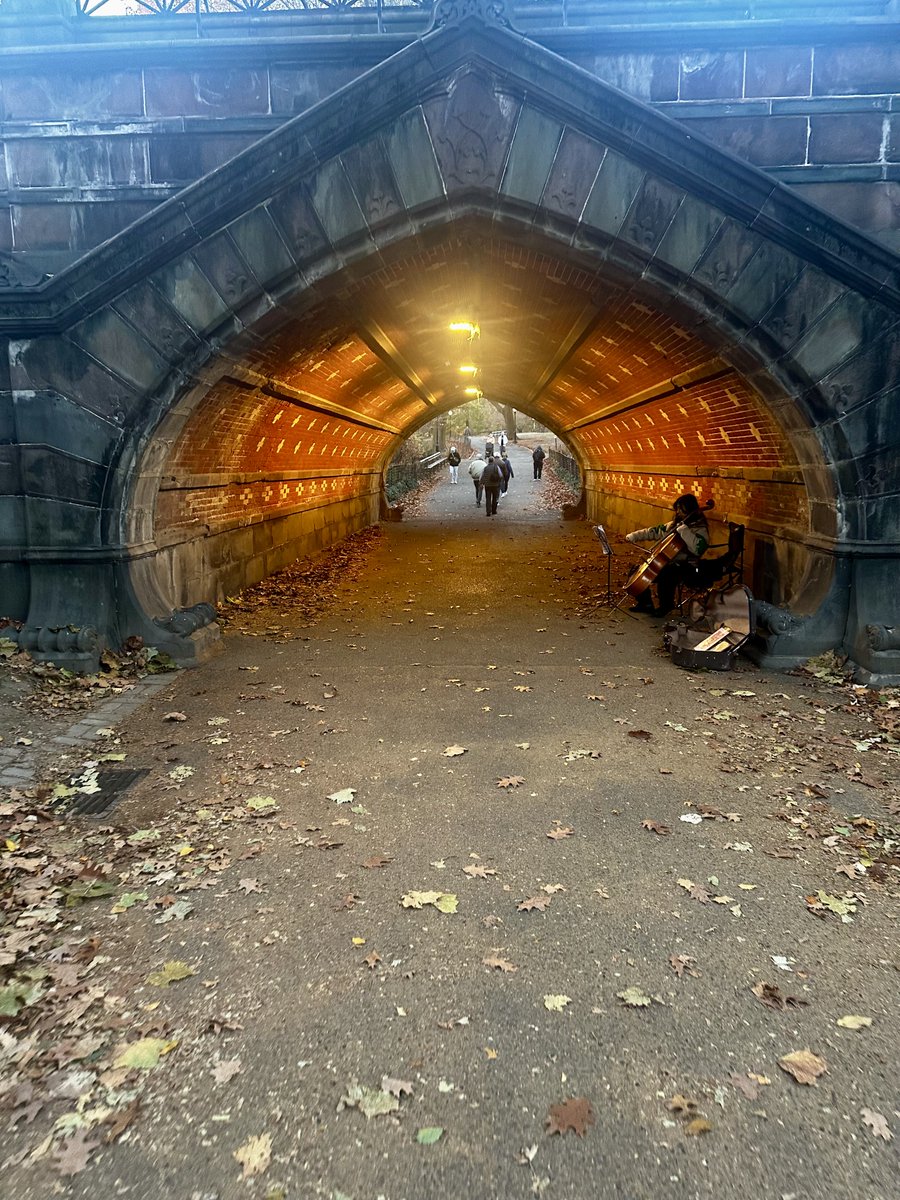 There’s nothing more New York than running into someone beautifully playing the cello in an underpass on a cold autumn walk in Central Park 🍁❤️