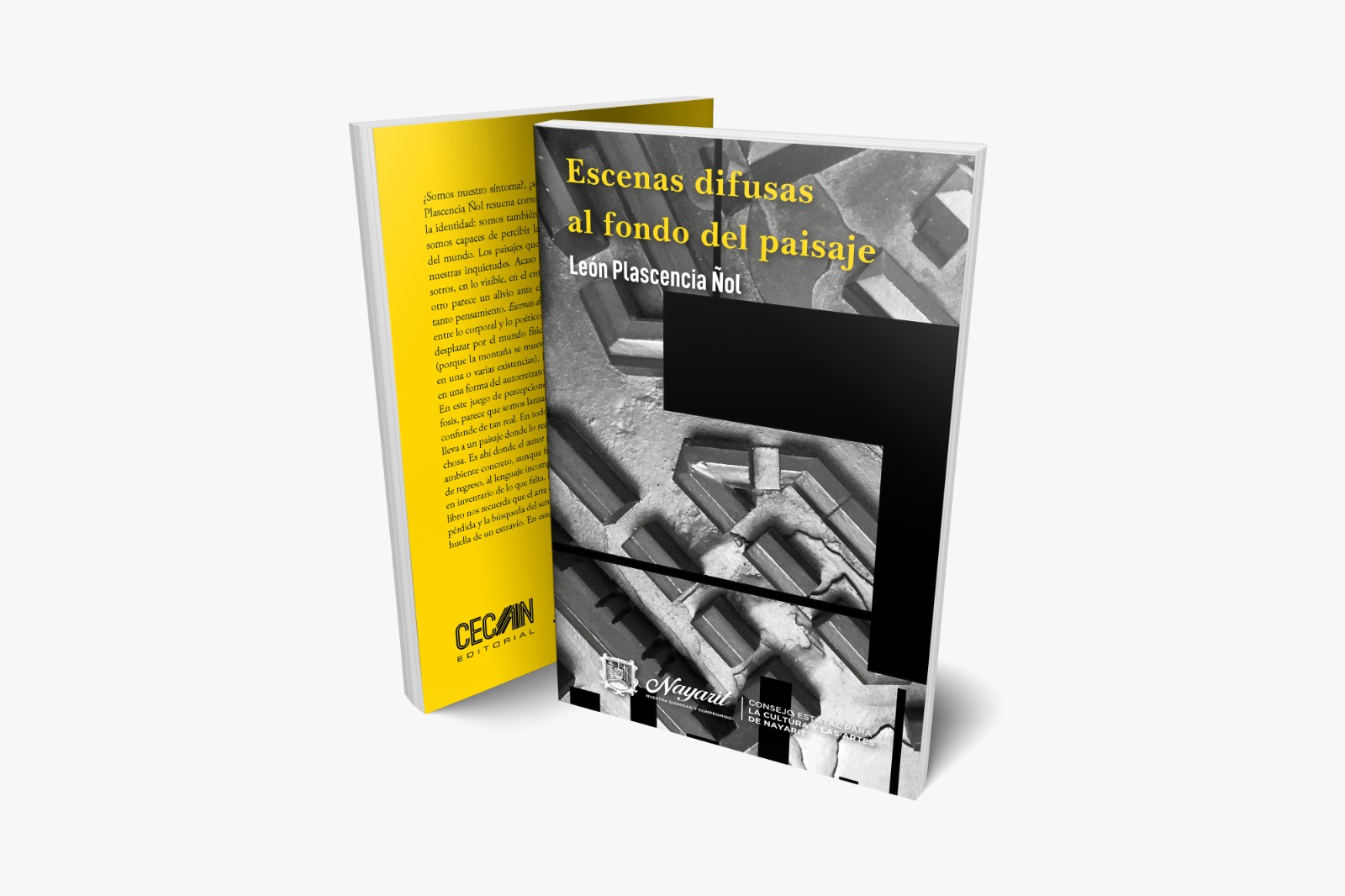 León Plascencia Ñol on X: "Otro nuevo libro viene en camino. "Escenas difusas al fondo del paisaje", Premio Nacional de Poesía Amado Nervo 2024. La imagen de portada es un poema visual