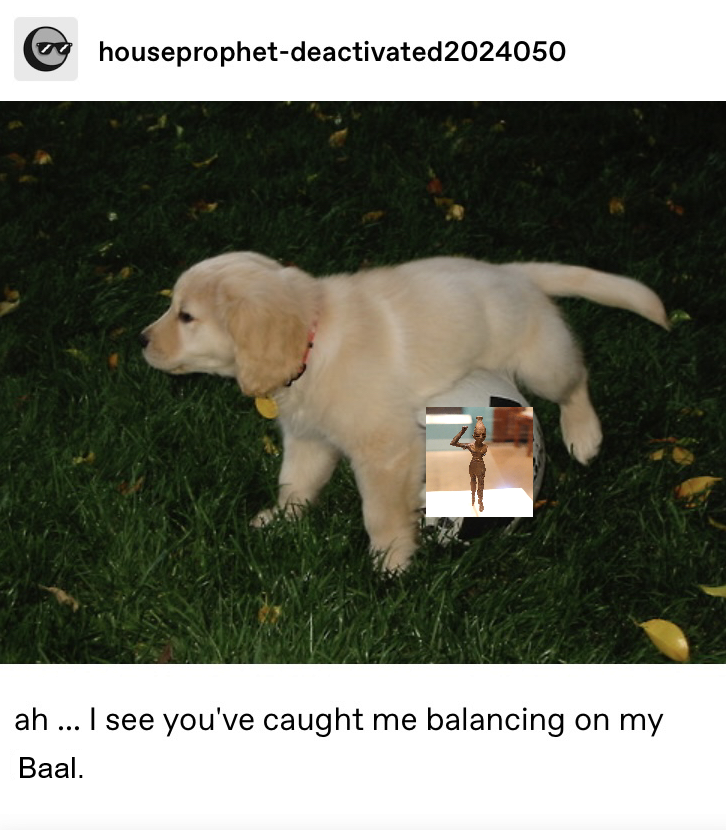 Downfeather6's tweet photo. This came to me in a dream https://t.co/vYyunuKnJB