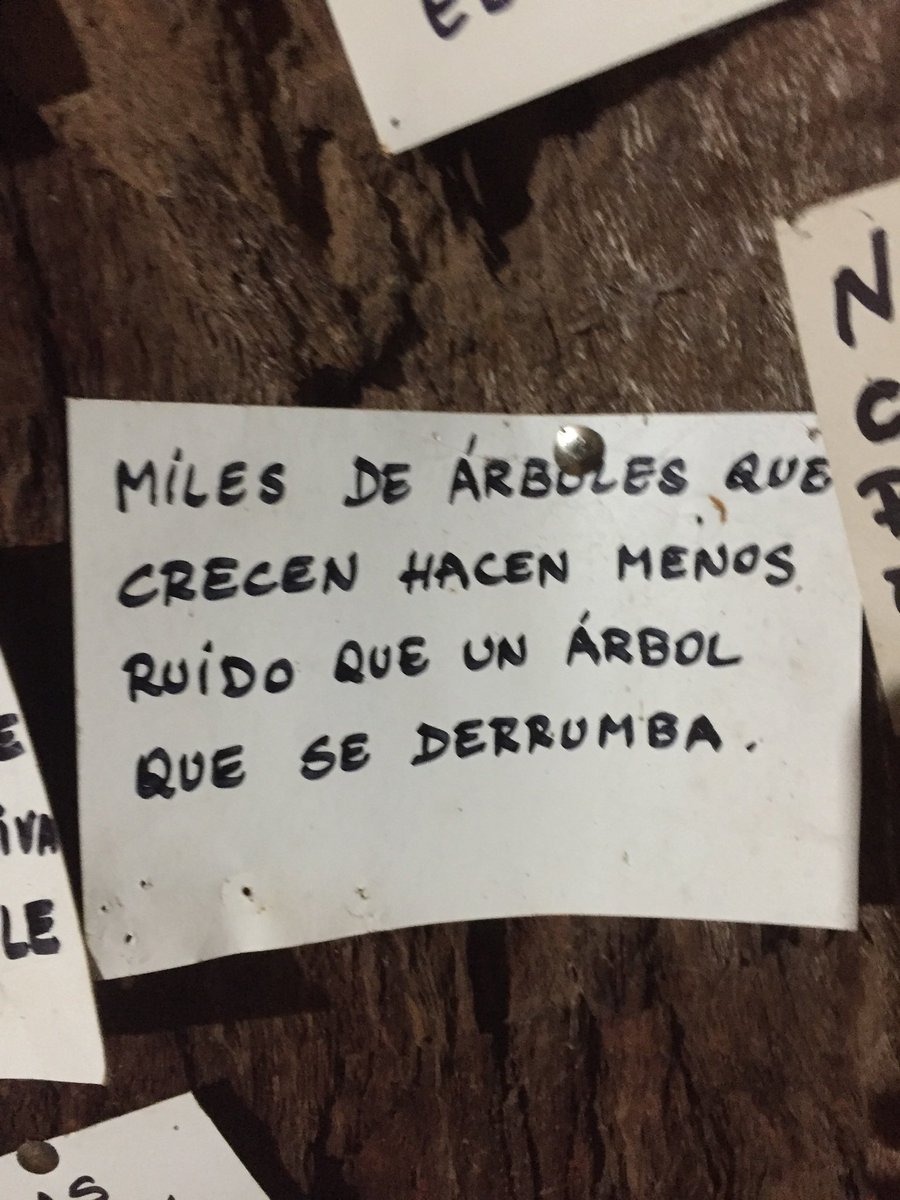 juanmcabrera's tweet photo. Mensaje dentro de un tronco de la Aripuca, puerto Iguazú https://t.co/zDbYL0Vl3O