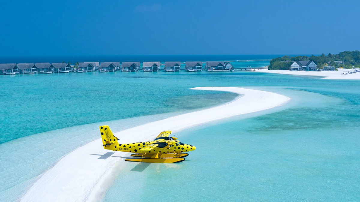 tetromagic's tweet photo. Excited to be performing for the Four Seasons in the Maldives this Dec 23rd through Jan 5th. Hope to see you there! ✨✨✨ https://t.co/LA4UHqRLub