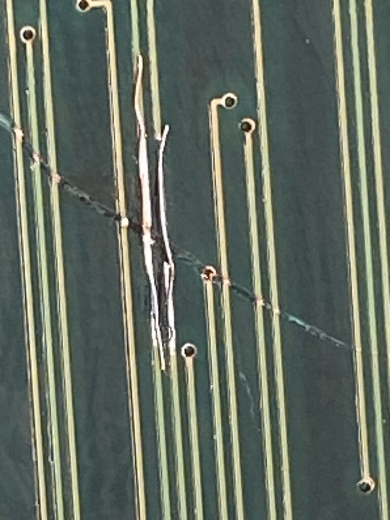 JAMMArcade.net tweet media