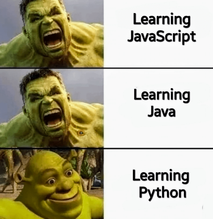 RyanEls4's tweet image. The real reason Python is so popular 😂🤭